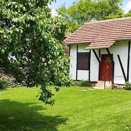 Глинената Къща В Дълги Дел Villa Dulgi Del Ngoại thất bức ảnh